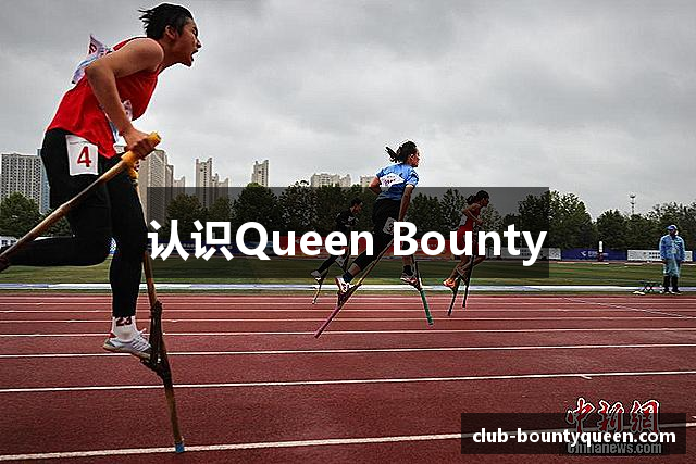 认识Queen Bounty